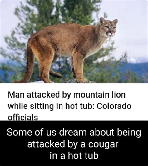 Man attacked by mountain lion while sitting in hot tub: Colorado officials